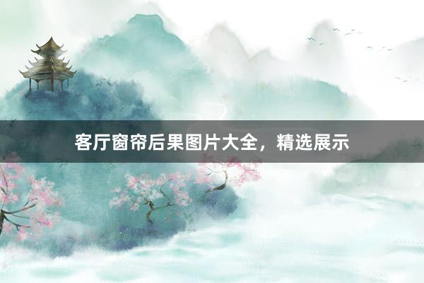 客厅窗帘后果图片大全，精选展示