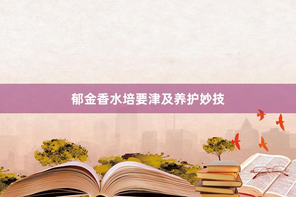 郁金香水培要津及养护妙技