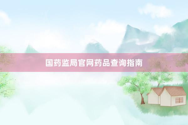 国药监局官网药品查询指南