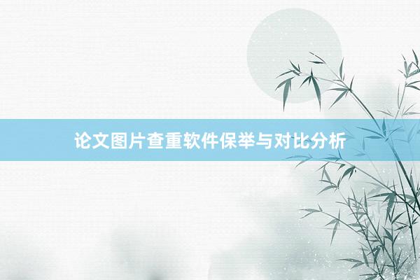 论文图片查重软件保举与对比分析
