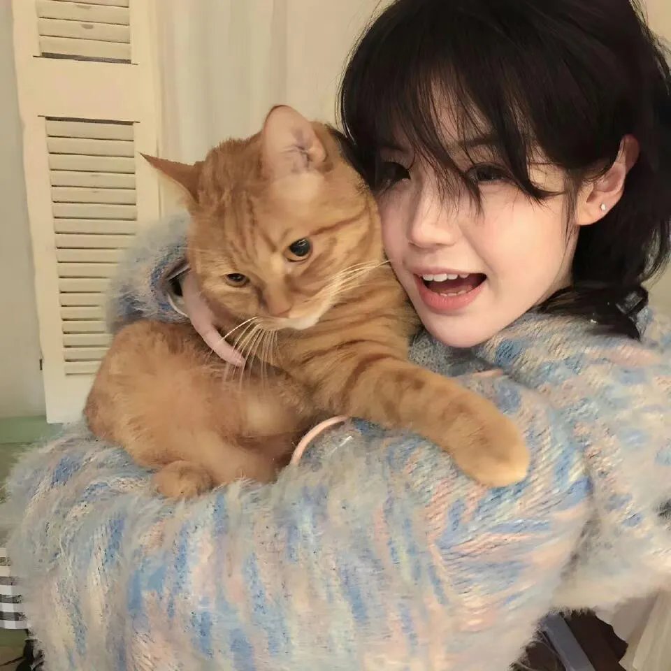 不是幅漂亮局面